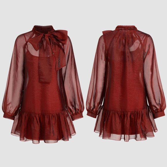 Red Bowknot Sheer Mini Dress with Cami Mini Dress - Picture 5 of 13